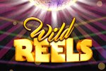 Wilds Reels Explained: Top 5 Wilds Reels Pokies