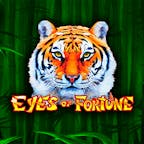 Eyes Of Fortune